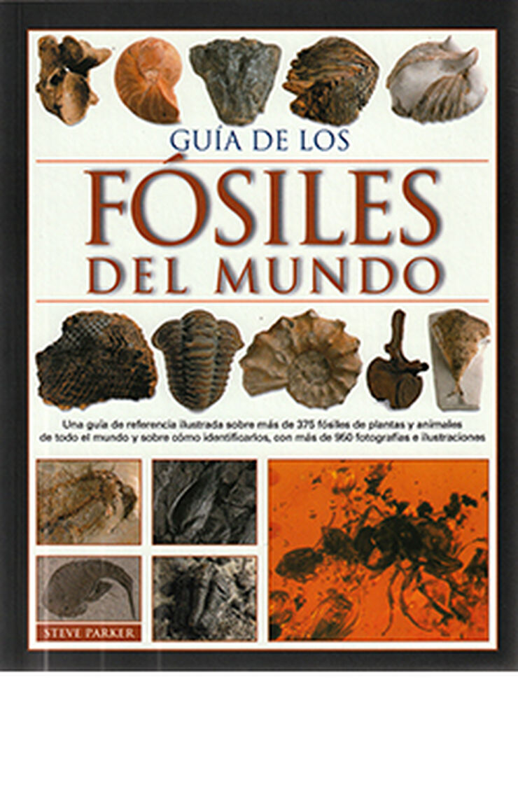 Guía De Los Fósiles Del Mundo