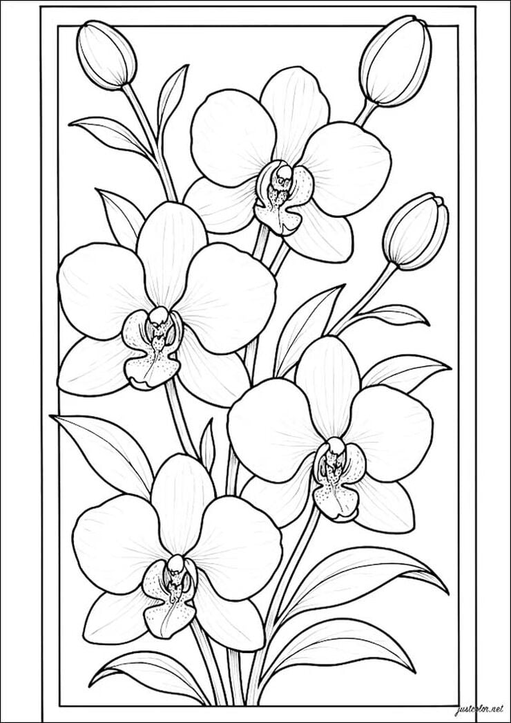 Sello Ex-Libris con mango Orqu&iacute;dea