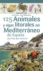 125 Animales y algas litorales del Mediterráneo de España que hay que conocer 125 Animales y algas litorales del Mediterráneo de España que hay que conocer