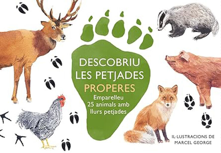 Descobriu les petjades properes