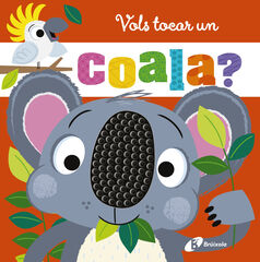 Vols tocar un coala? Vols tocar un coala?