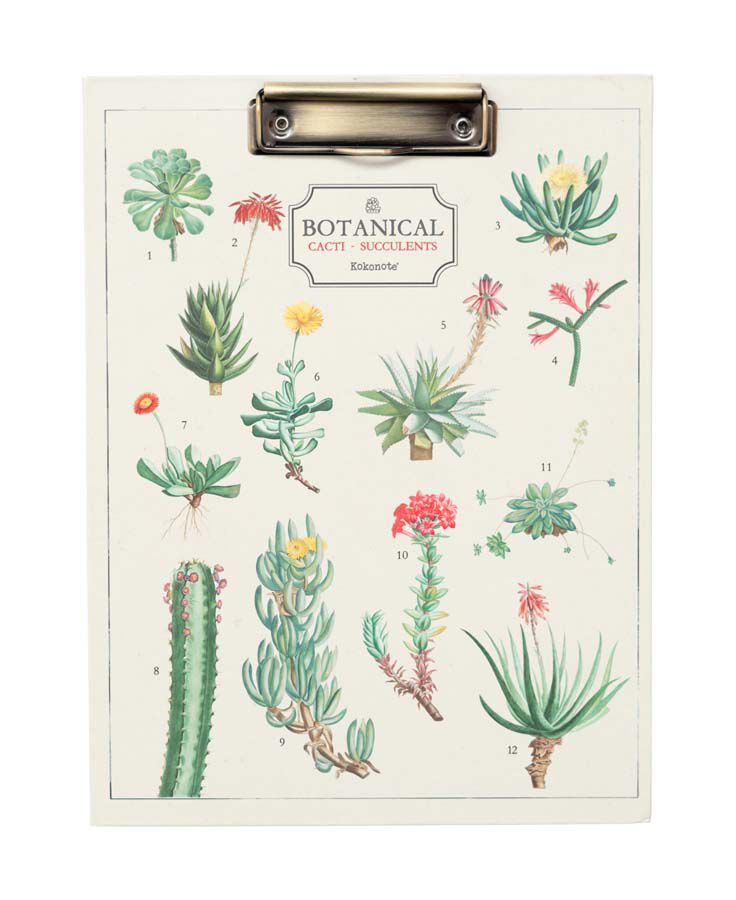 Carpeta A4 con Pinza Kokonote Botanical Cacti