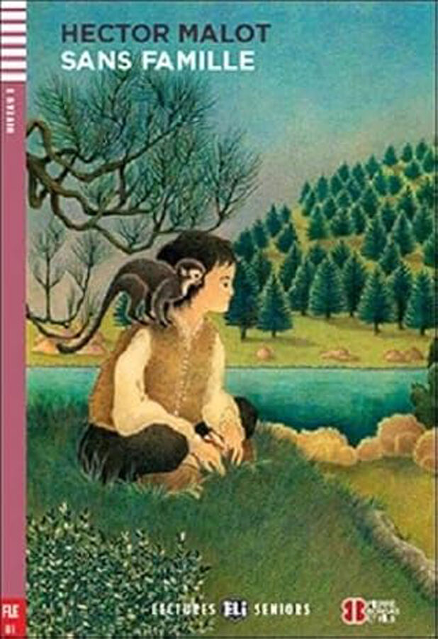 Sans famille. Con e-book