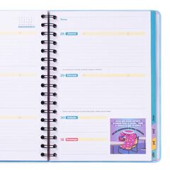 Agenda escolar Mr. Wonderful Wonder setm/vista cas 2025-26 Es hora de conseguirlo