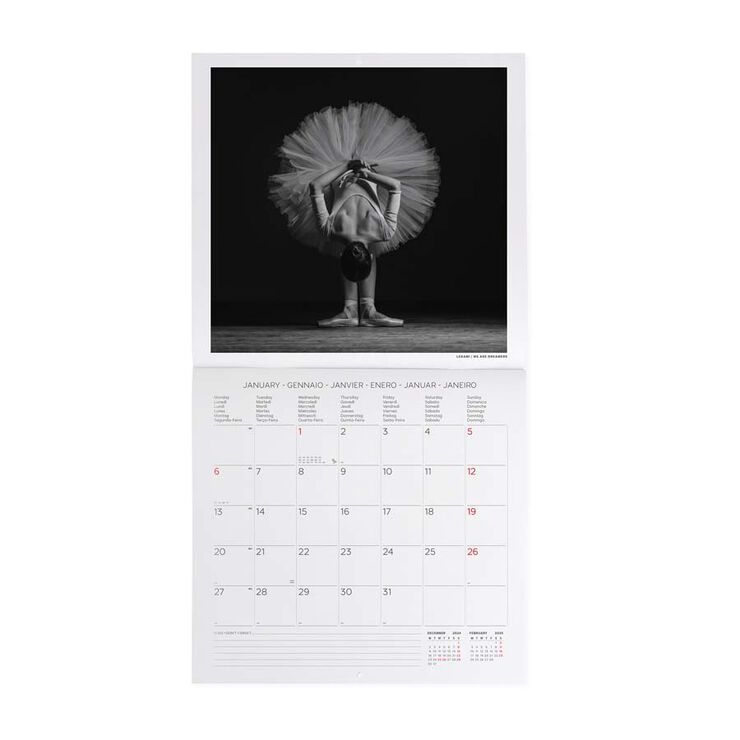 Calendario Pared Legami m/vista 2025 Ballet