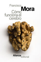 Cómo funciona el cerebro Cómo funciona el cerebro