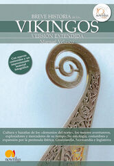 Breve historia de los Vikingos