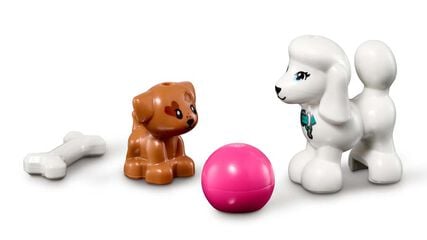 LEGO® Friends Centro Canino de Día 41691