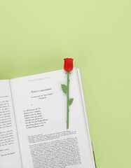 Punto de Libro Rosa Sant Jordi