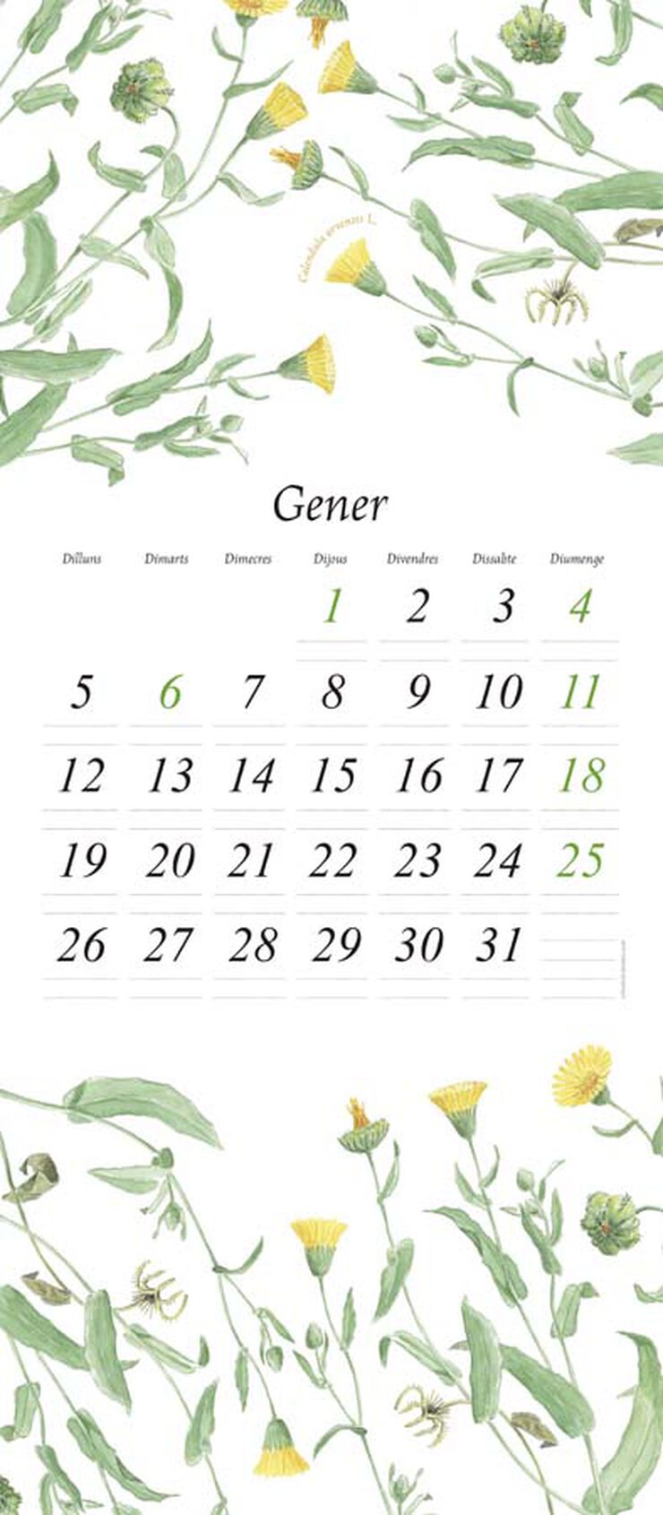 Calendari paret Flora 2026 catal&agrave;