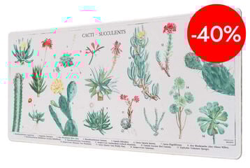 Vade Kokonote Botanical Cacti