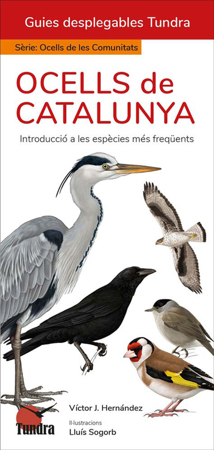 Ocells de Catalunya. Introducció a les espècies més freqüents