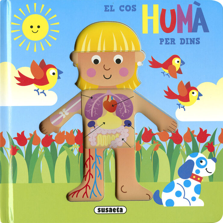 El cos humà per dins