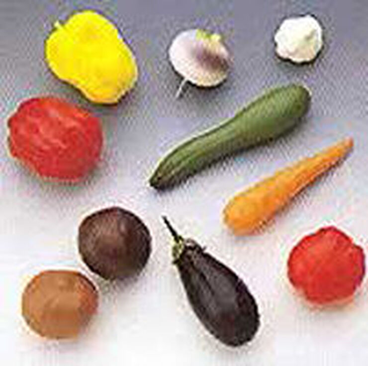 Juego simb&oacute;lico Lap Verduras tama&ntilde;o real