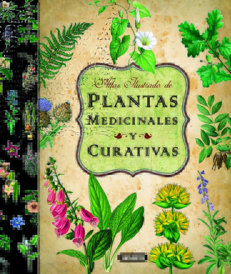 Plantas medicinales y curativas