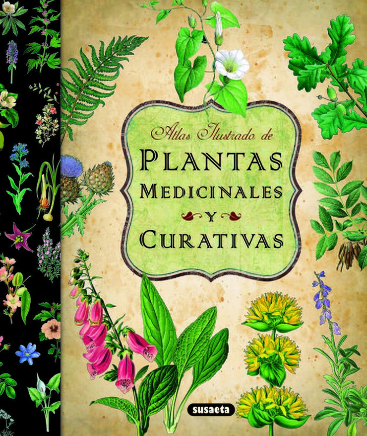 Plantas medicinales y curativas