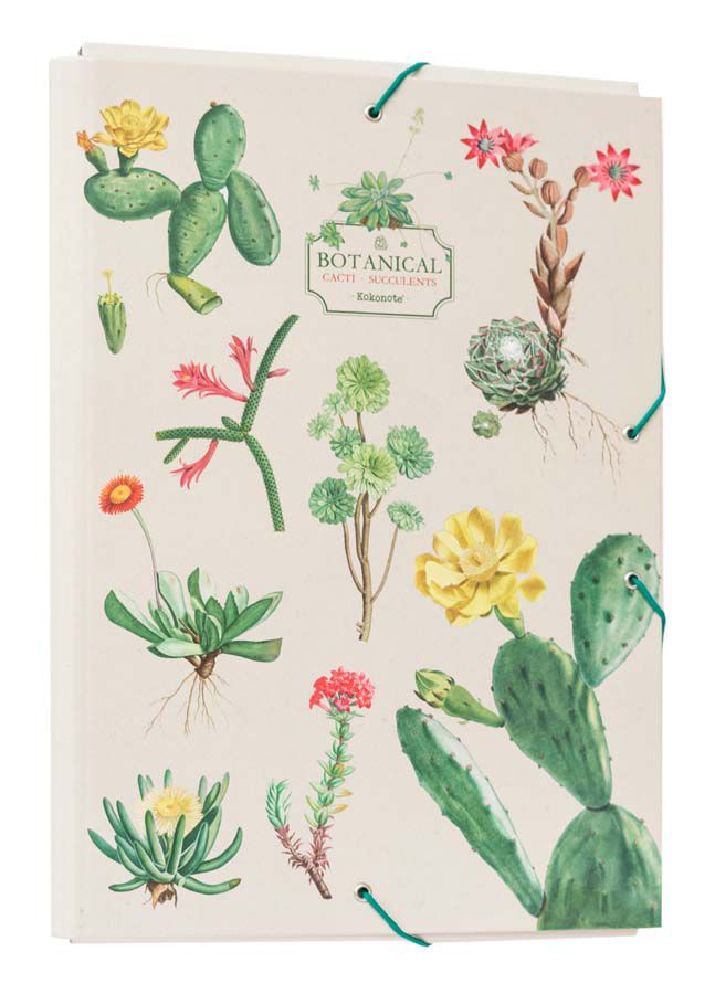 Carpeta Solapas Kokonote Botanical Cacti