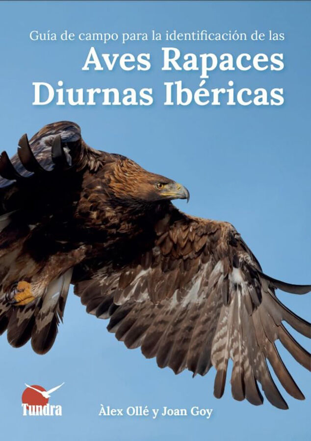 Aves rapaces diurnas Ib&eacute;ricas