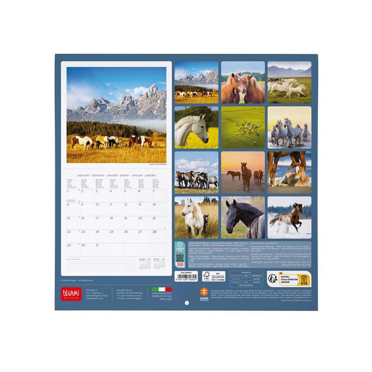 Calendario pared Legami 30X29 2024 Horses