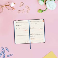 Agenda Finocam Joy F2 sem/vista horizontal cat 2026 Fiona