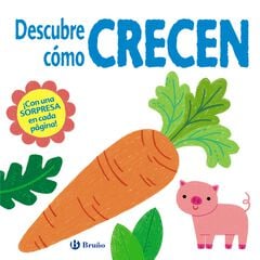 Descubre cómo crecen Descubre cómo crecen
