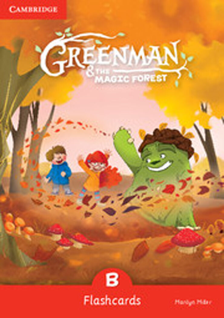 Greenman and The Magic Forest B Flashcards (Pack of 48)