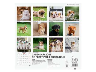 Calendario pared Finocam 30x30 2026 Cachorros catalán