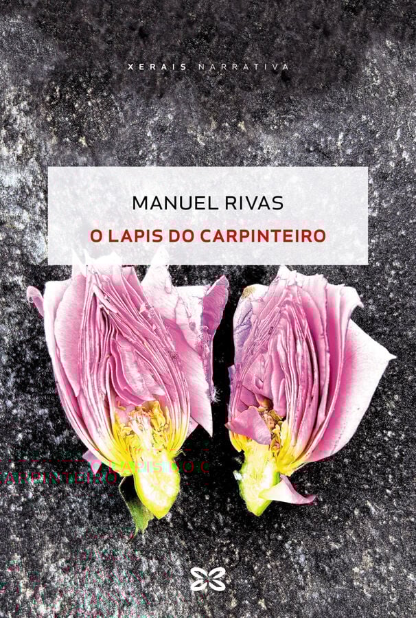 O lapis do carpinteiro