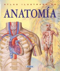 Anatomía