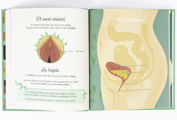 El petit atles de la intimitat: la vulva, la vagina, la regla i més