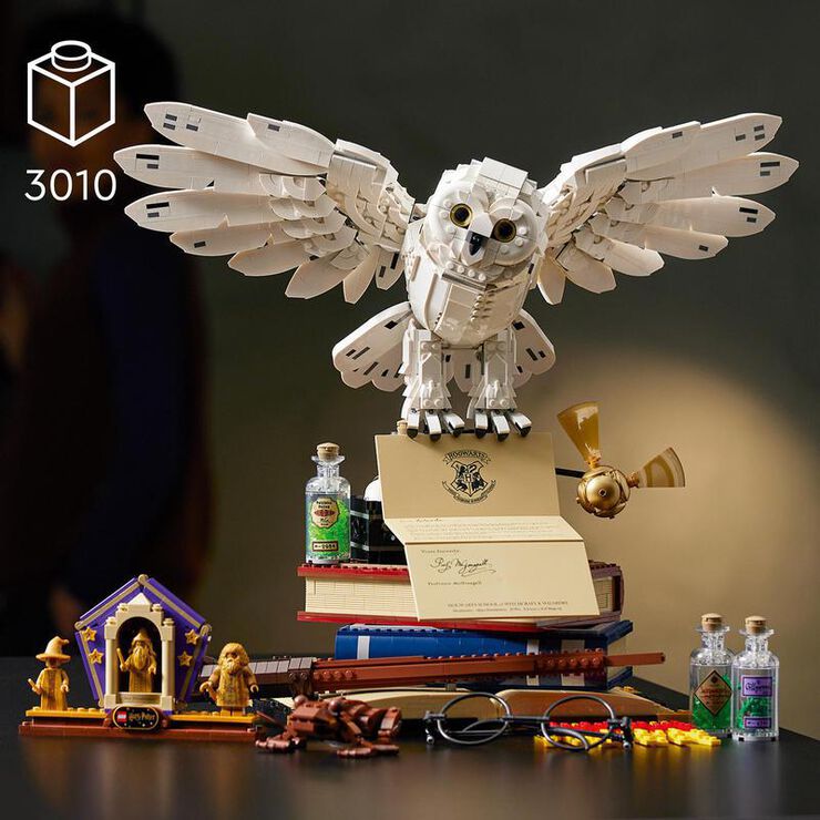 LEGO® Harry Potter Hogwarts 76391