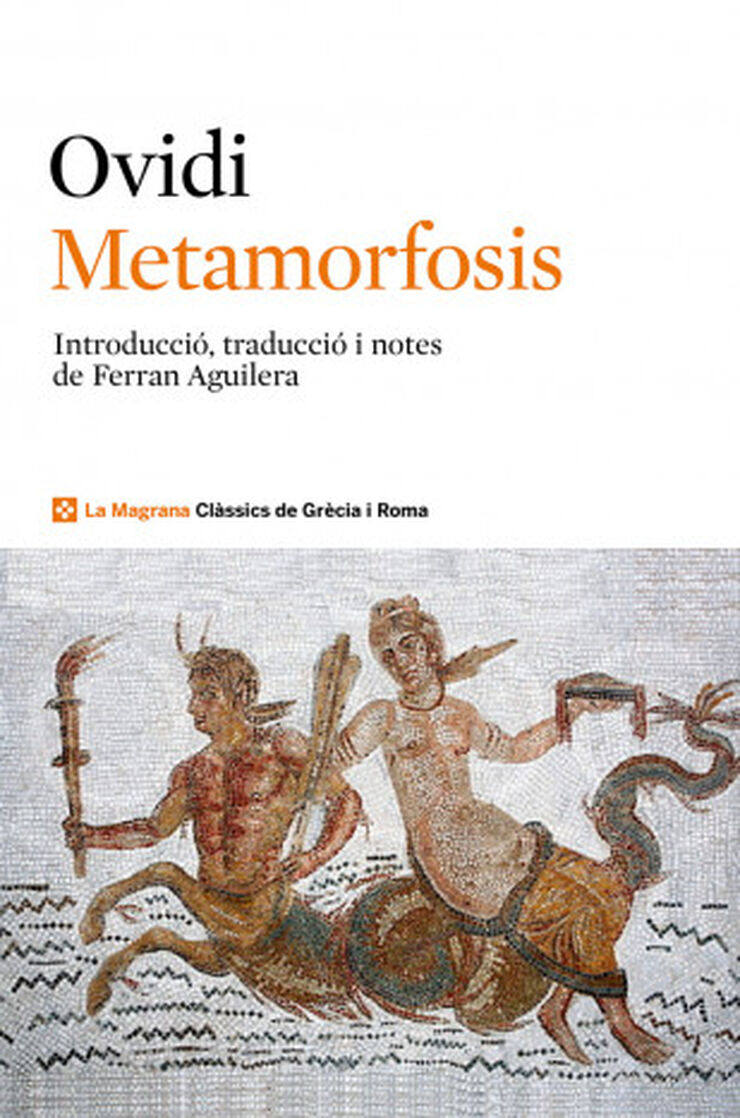 Metamorfosis Metamorfosis