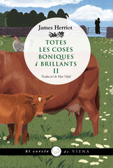 Totes les coses boniques i brillants II