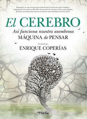 El cerebro El cerebro