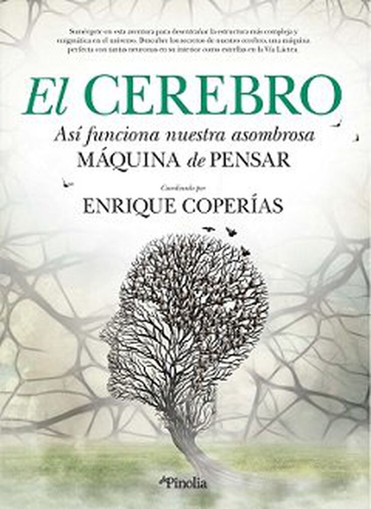 El cerebro