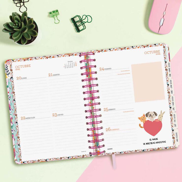Agenda Finocam 16 meses Vitae 1/4 sem/vista cas 2025-26 rosa