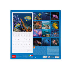 Calendario Legami 30x29 Pared Under The Sea Multiling&uuml;e 2027
