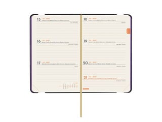 Agenda Finocam Joy Semana Vista Horizontal 2027 Castellano Fiona