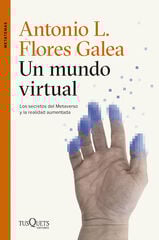 Un mundo virtual Un mundo virtual