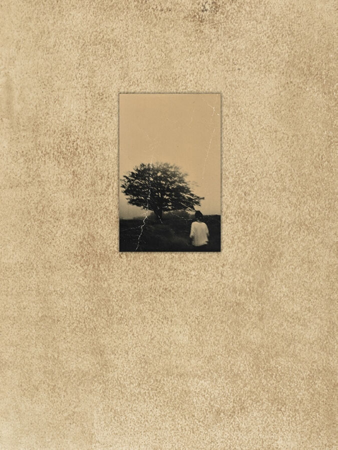 El vuelo lleva al vuelo