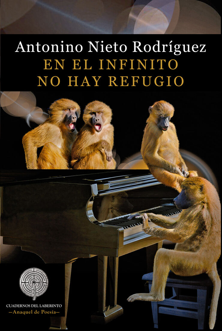 En El Infinito No Hay Refugio