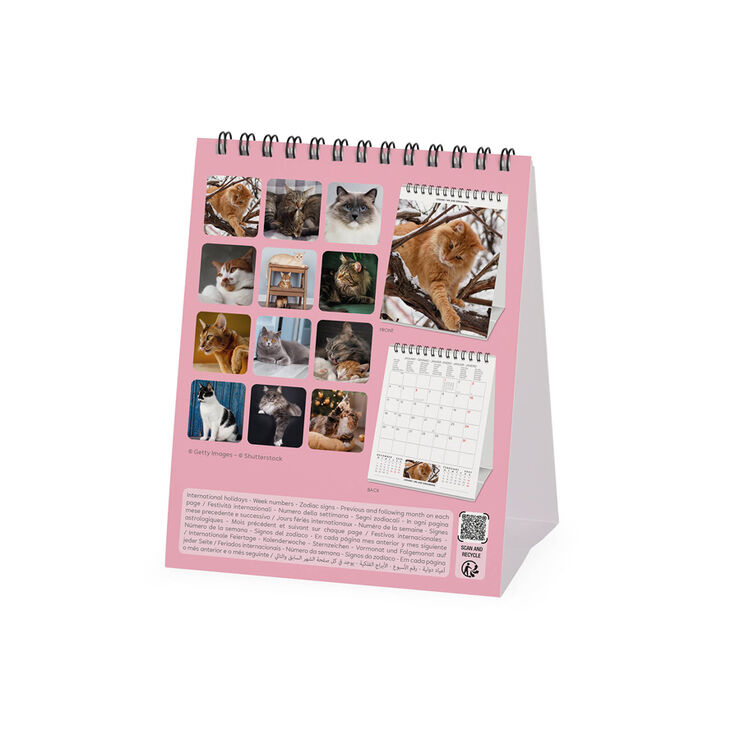 Calendario Legami 12x14,5 Sobremesa Cats Multiling&uuml;e 2027
