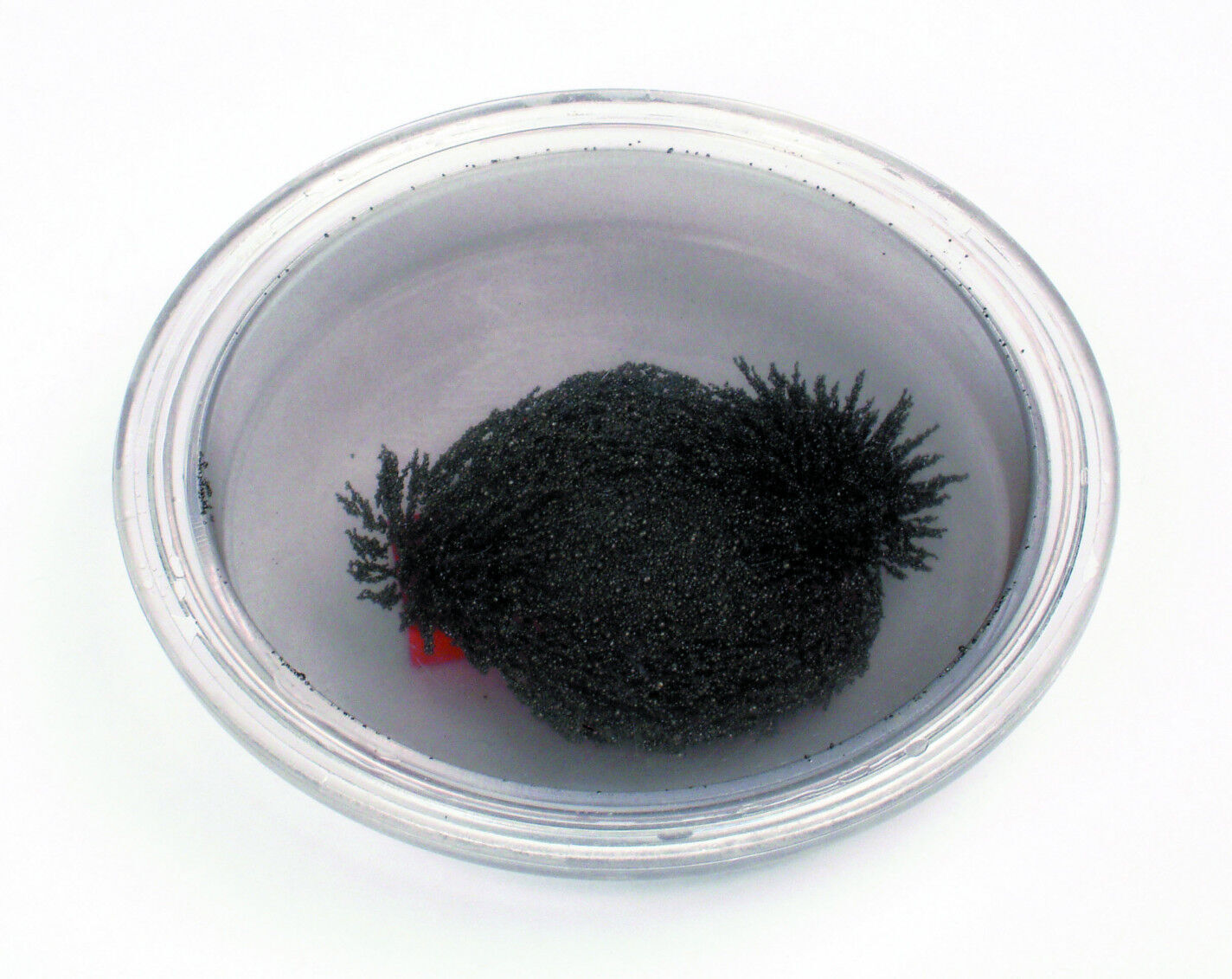 Bombolla amb llimadures ferro