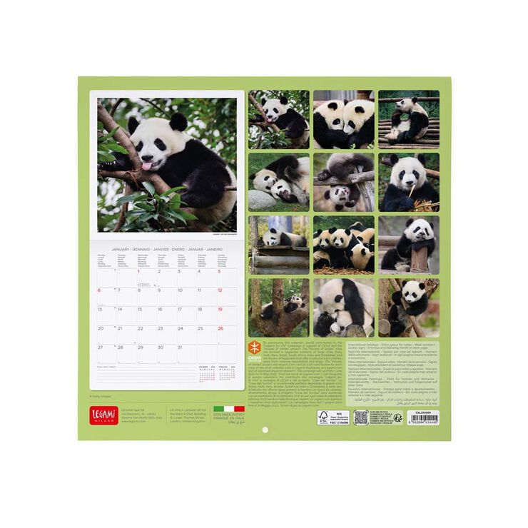 Calendario Pared Legami m/vista 2025 Pandastic