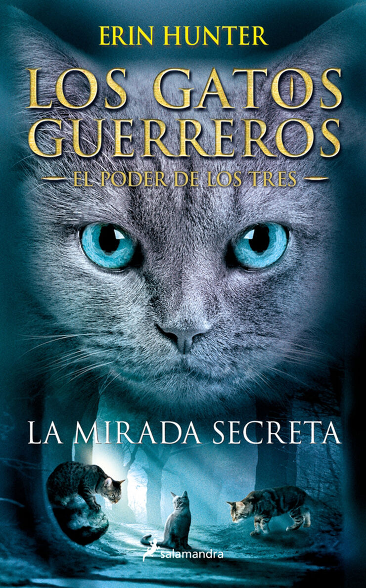 La mirada secreta