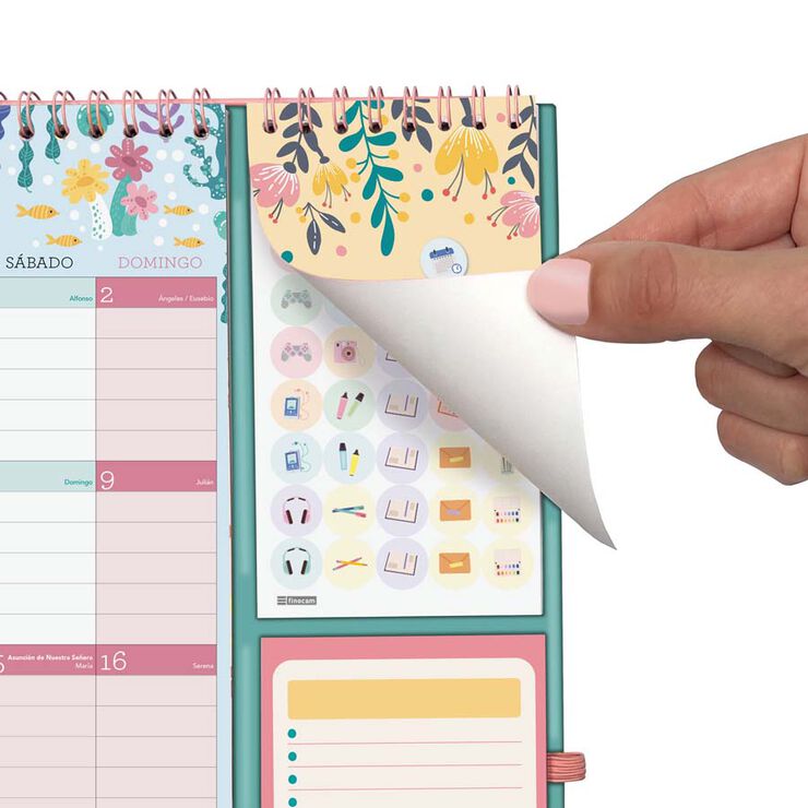 Calendari Finocam paret 16 mesos plus cas 2025-26 Vitae