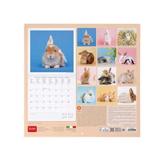 Calendario Pared Legami m/vista 2025 Honey Bunny