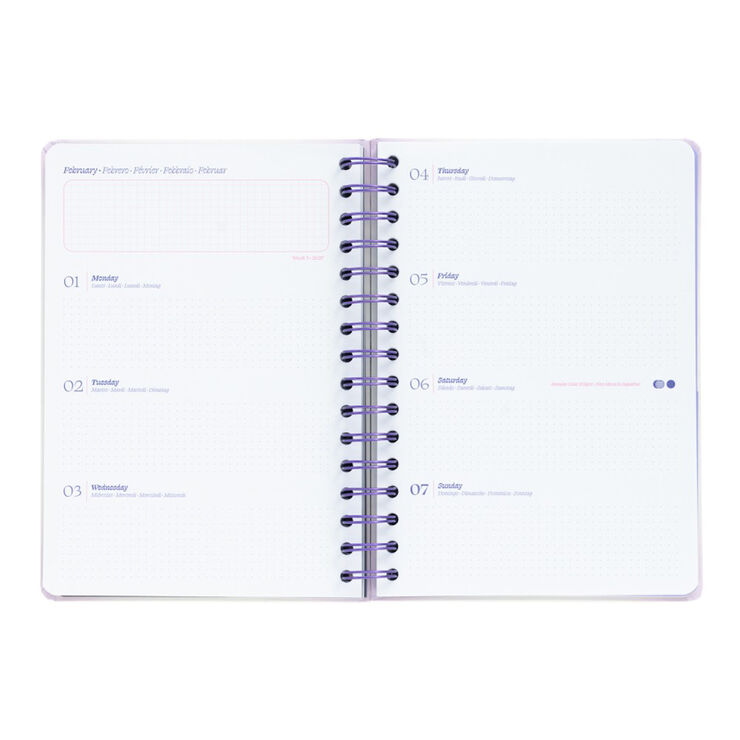 Agenda Escolar Erik A5 S/V Mult. 2026-2027 Astral