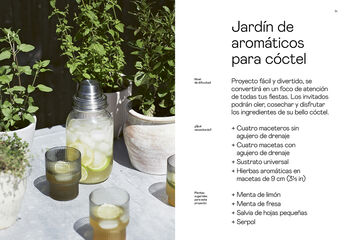 Cultivo de hierbas aromáticas