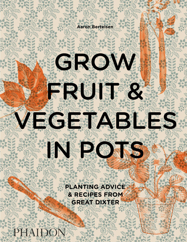 Grow Fruit & Vegetables In Pots